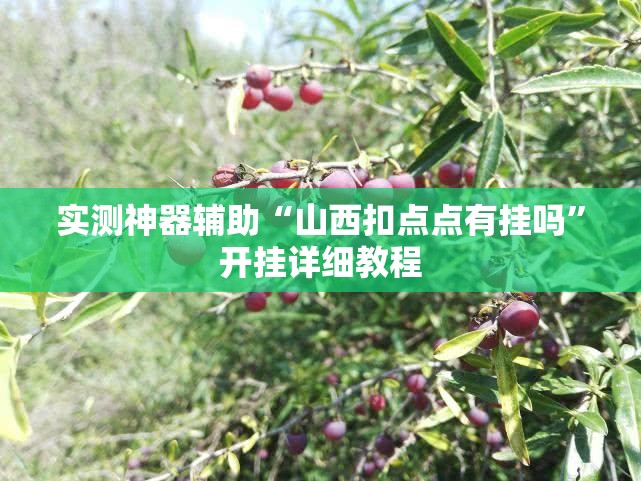 实测神器辅助“山西扣点点有挂吗”开挂详细教程