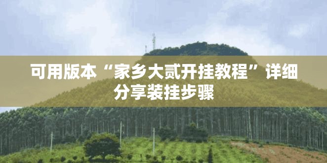 可用版本“家乡大贰开挂教程	”详细分享装挂步骤