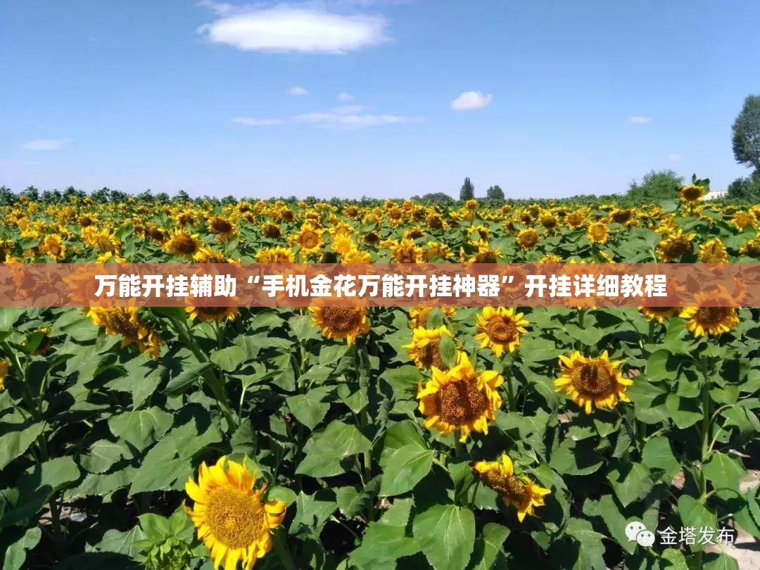 万能开挂辅助“手机金花万能开挂神器”开挂详细教程