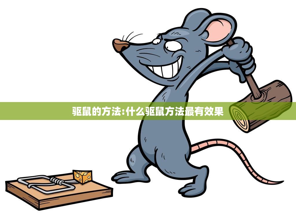 驱鼠的方法:什么驱鼠方法最有效果
