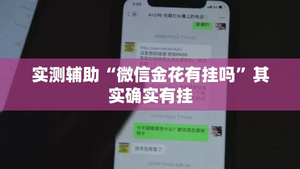 实测辅助“微信金花有挂吗”其实确实有挂