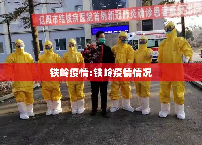 铁岭疫情:铁岭疫情情况
