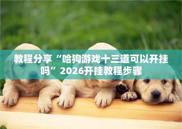 教程分享“哈狗游戏十三道可以开挂吗	”2026开挂教程步骤