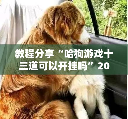 教程分享“哈狗游戏十三道可以开挂吗	”2026开挂教程步骤