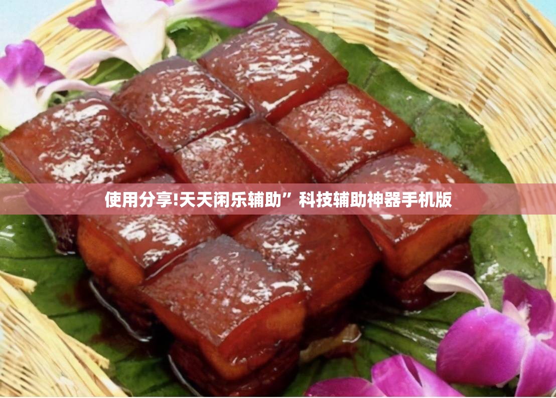 使用分享!天天闲乐辅助”科技辅助神器手机版