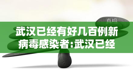 武汉已经有好几百例新病毒感染者:武汉已经有好几百例新病毒感染者了