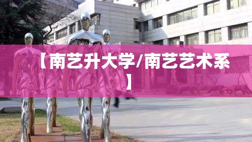 【南艺升大学/南艺艺术系】