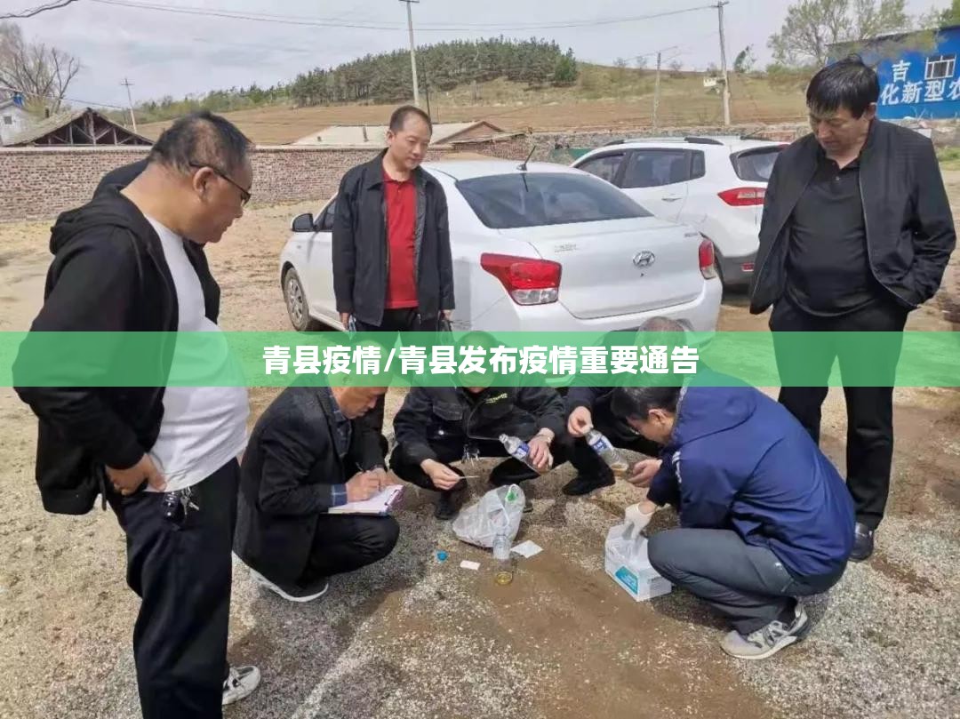 青县疫情/青县发布疫情重要通告