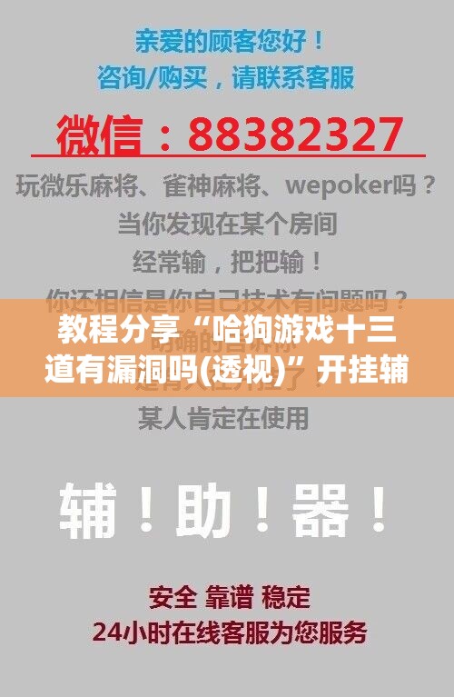 教程分享“哈狗游戏十三道有漏洞吗(透视)	”开挂辅助脚本+详细开挂安装教程