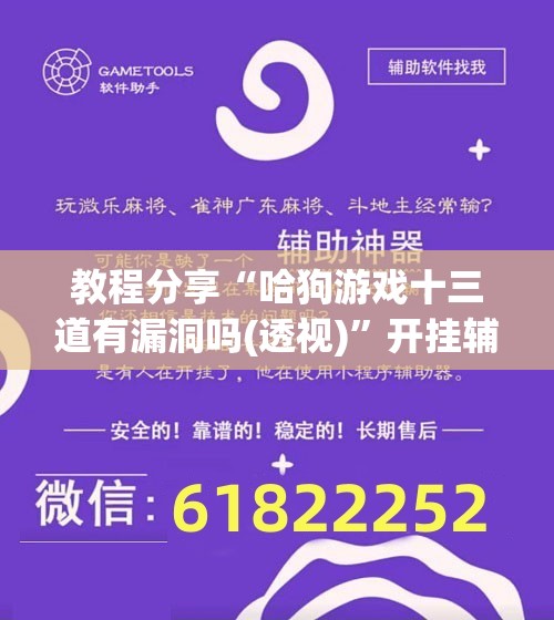 教程分享“哈狗游戏十三道有漏洞吗(透视)”开挂辅助脚本+详细开挂安装教程