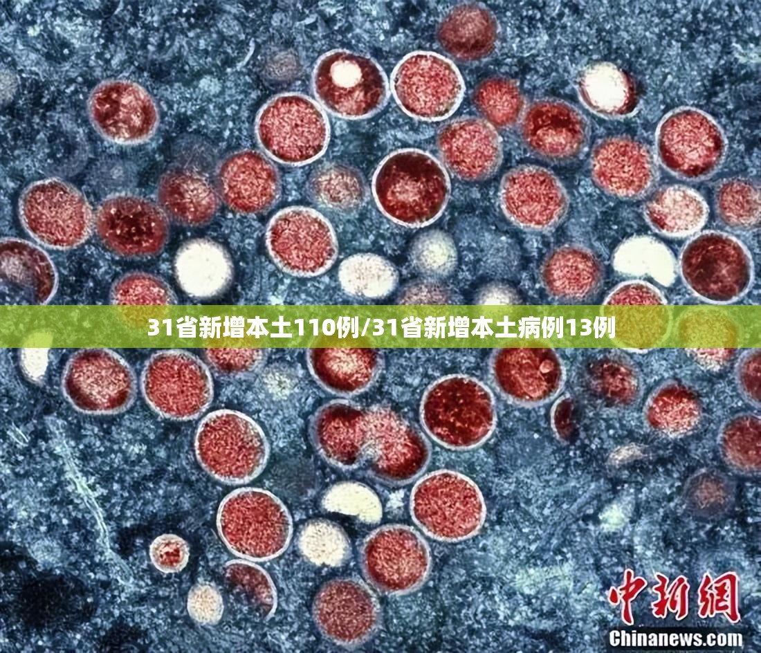 31省新增本土110例/31省新增本土病例13例