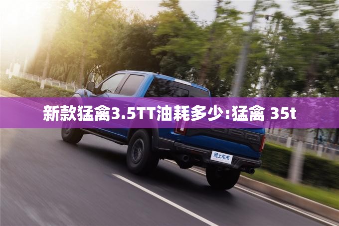 新款猛禽3.5TT油耗多少:猛禽 35t