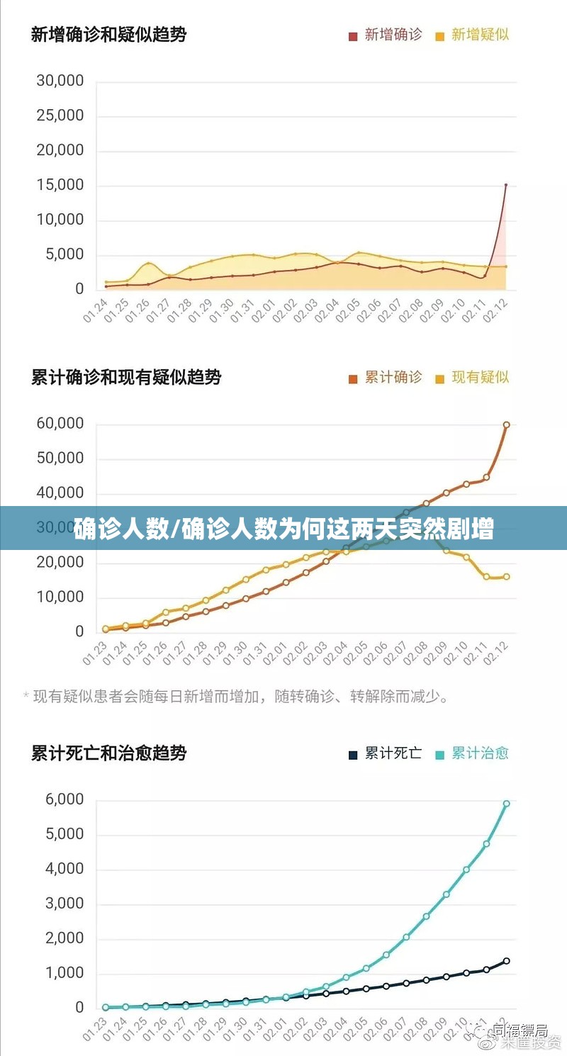 确诊人数/确诊人数为何这两天突然剧增