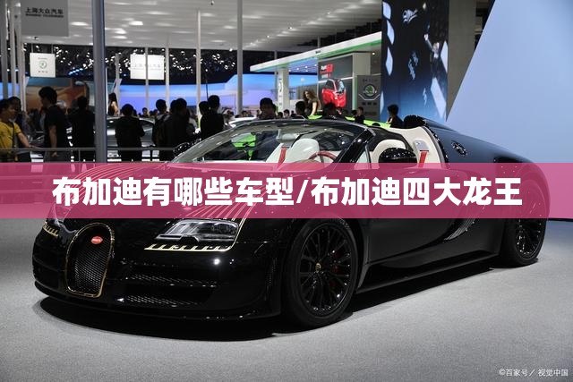 布加迪有哪些车型/布加迪四大龙王