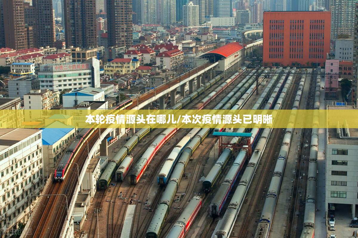 本轮疫情源头在哪儿/本次疫情源头已明晰
