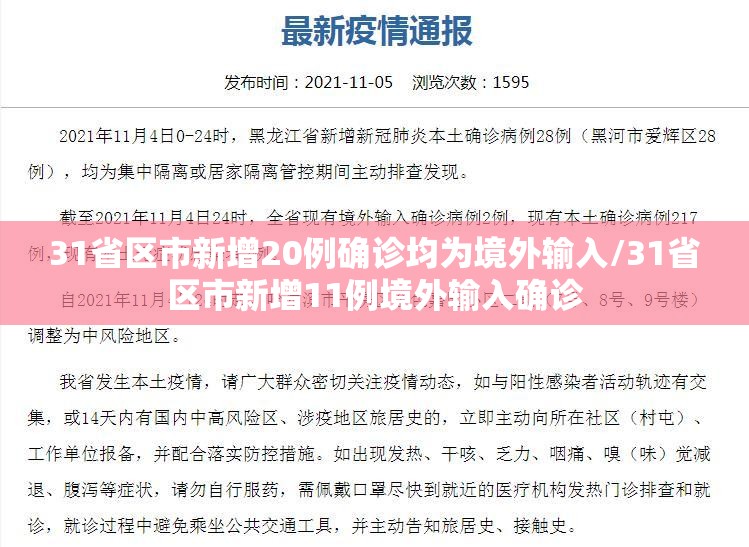 31省区市新增20例确诊均为境外输入/31省区市新增11例境外输入确诊