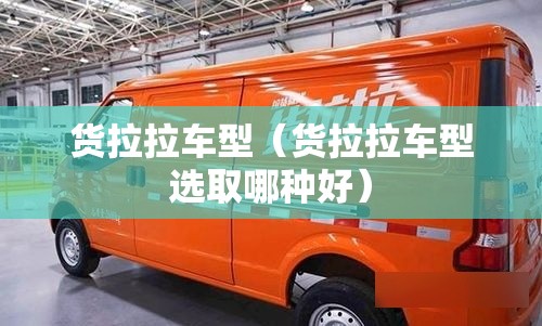 货拉拉车型（货拉拉车型选取哪种好）