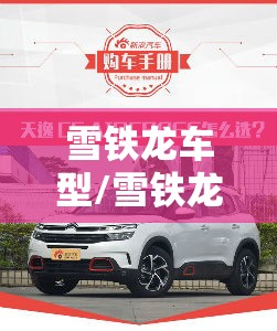 雪铁龙车型/雪铁龙车型推荐
