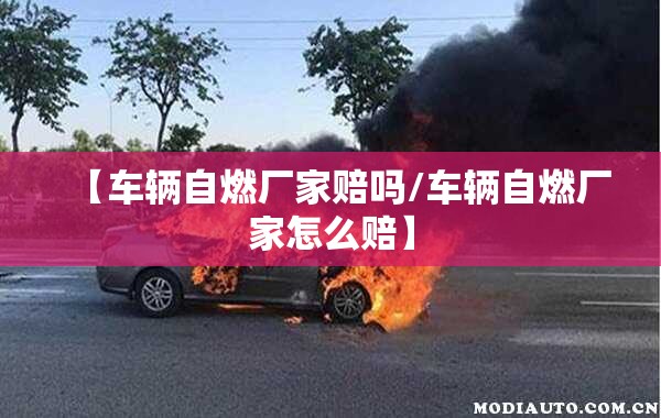【车辆自燃厂家赔吗/车辆自燃厂家怎么赔】