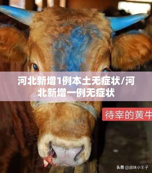 河北新增1例本土无症状/河北新增一例无症状