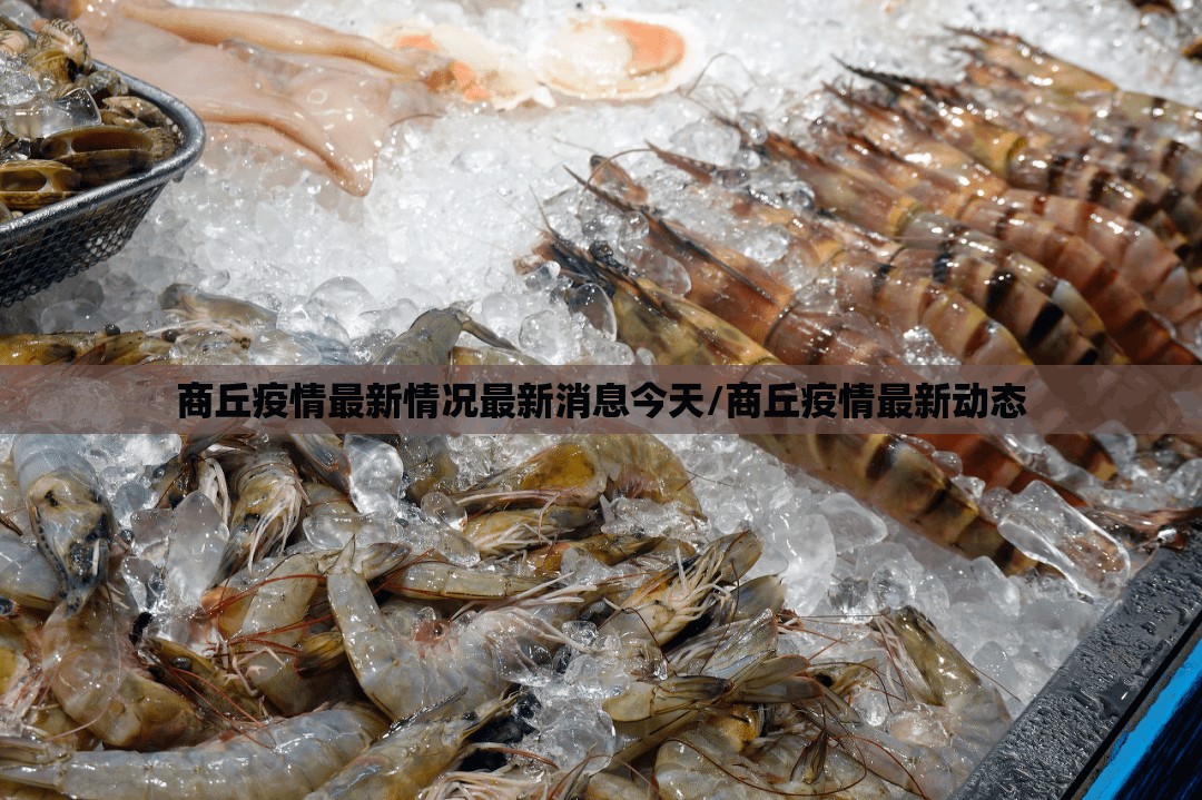 商丘疫情最新情况最新消息今天/商丘疫情最新动态