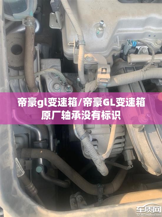 帝豪gl变速箱/帝豪GL变速箱原厂轴承没有标识