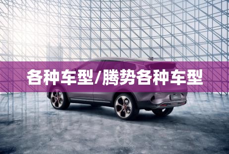 各种车型/腾势各种车型