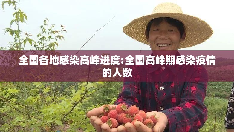 全国各地感染高峰进度:全国高峰期感染疫情的人数