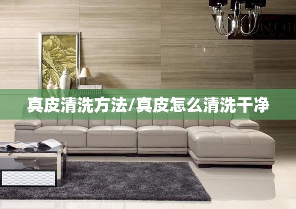 真皮清洗方法/真皮怎么清洗干净
