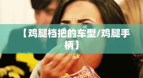 【鸡腿档把的车型/鸡腿手柄】