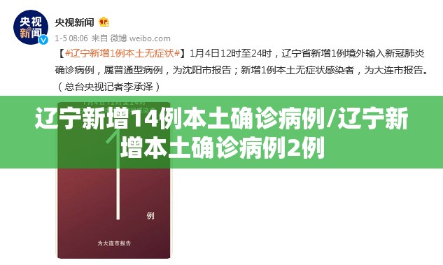 辽宁新增14例本土确诊病例/辽宁新增本土确诊病例2例