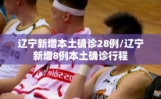 辽宁新增本土确诊28例/辽宁新增8例本土确诊行程