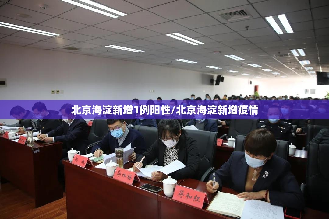 北京海淀新增1例阳性/北京海淀新增疫情