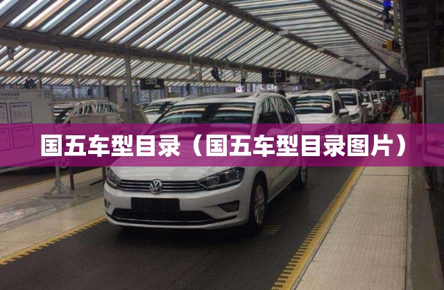 国五车型目录（国五车型目录图片）