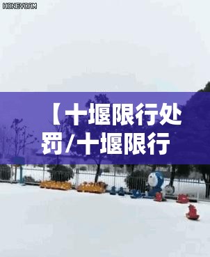 【十堰限行处罚/十堰限行处罚最新消息】