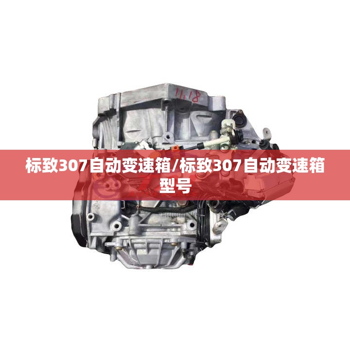 标致307自动变速箱/标致307自动变速箱型号