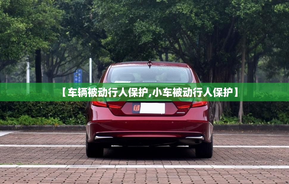 【车辆被动行人保护,小车被动行人保护】
