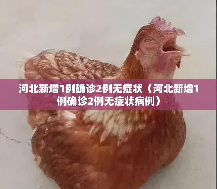 河北新增1例确诊2例无症状（河北新增1例确诊2例无症状病例）