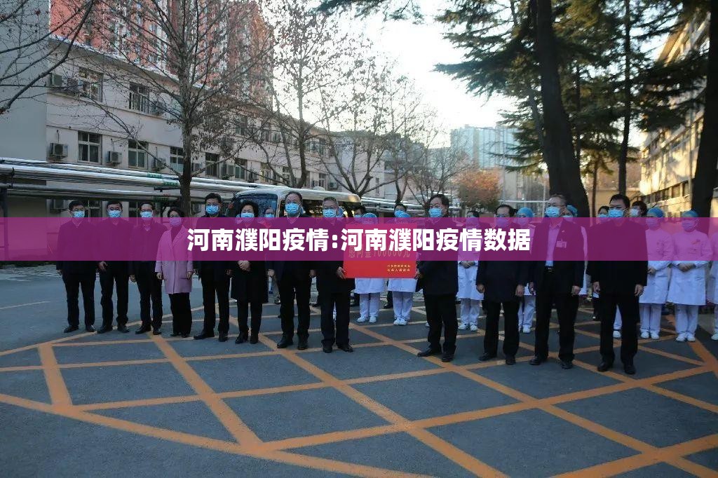 河南濮阳疫情:河南濮阳疫情数据