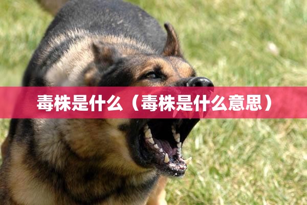 毒株是什么(毒株是什么意思) 毒株是什么(毒株是什么意思)
