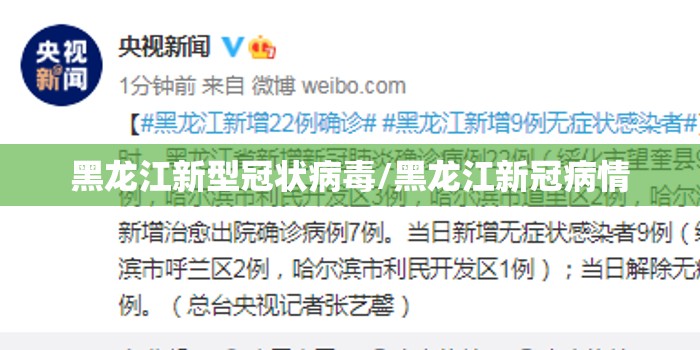 黑龙江新型冠状病毒/黑龙江新冠病情