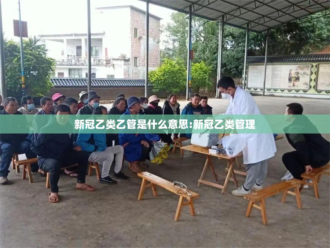新冠乙类乙管是什么意思:新冠乙类管理