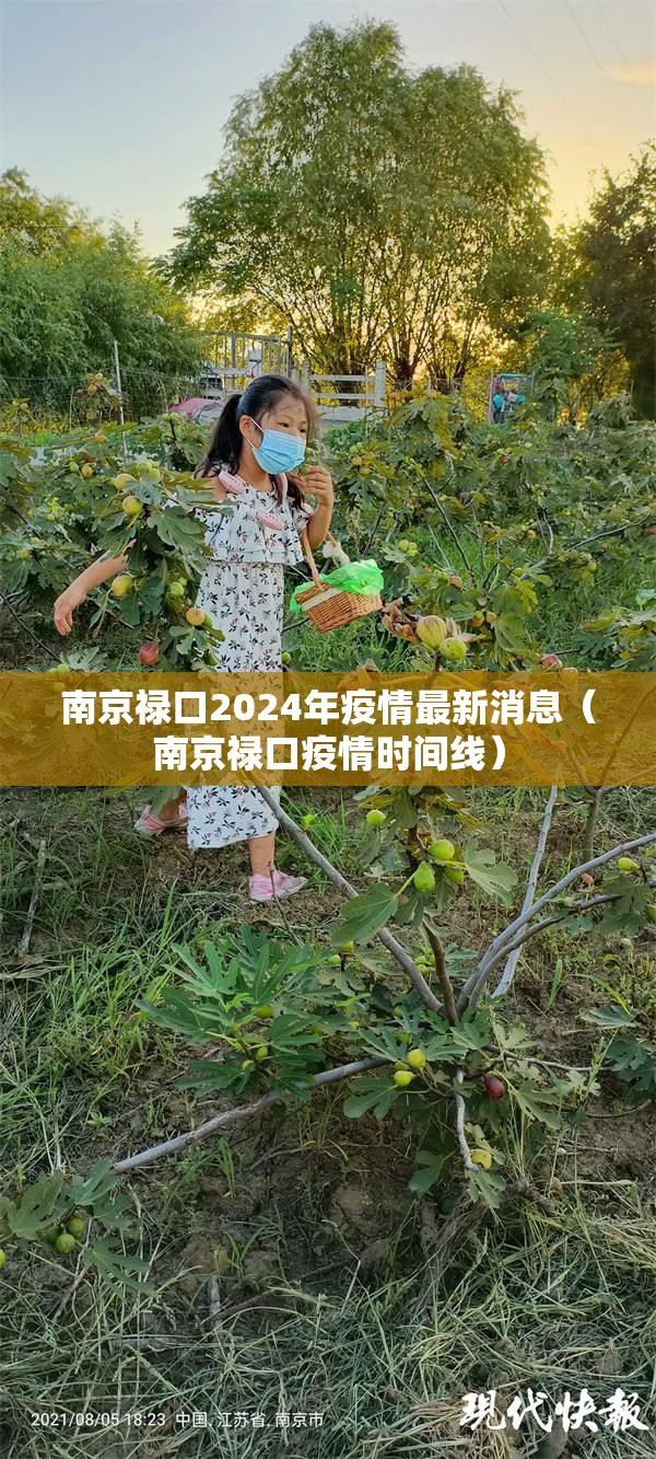 南京禄口2024年疫情最新消息（南京禄口疫情时间线）