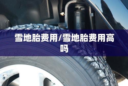 雪地胎费用/雪地胎费用高吗