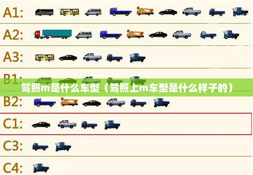 驾照m是什么车型（驾照上m车型是什么样子的）