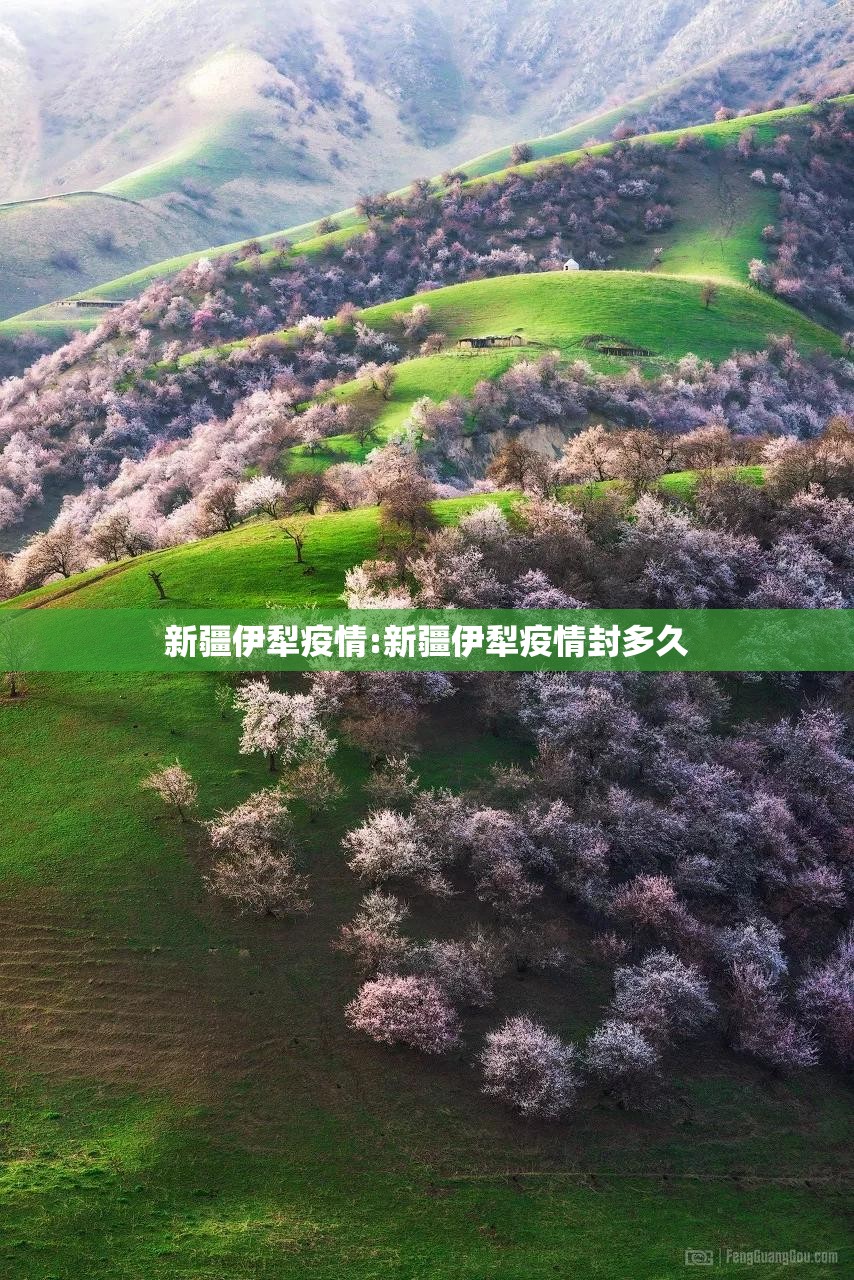新疆伊犁疫情:新疆伊犁疫情封多久