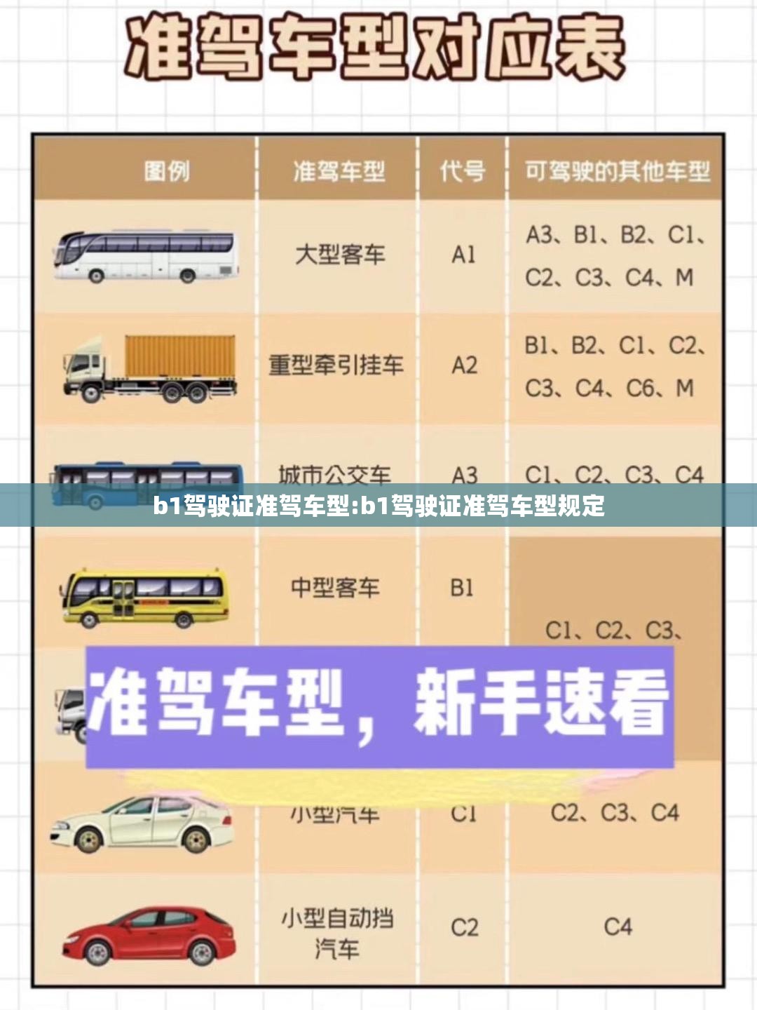 b1驾驶证准驾车型:b1驾驶证准驾车型规定