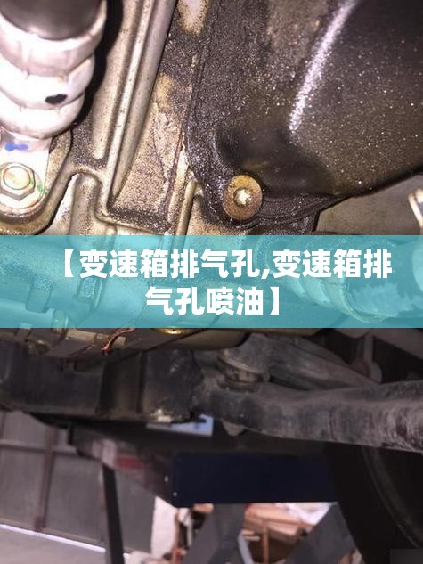 【变速箱排气孔,变速箱排气孔喷油】