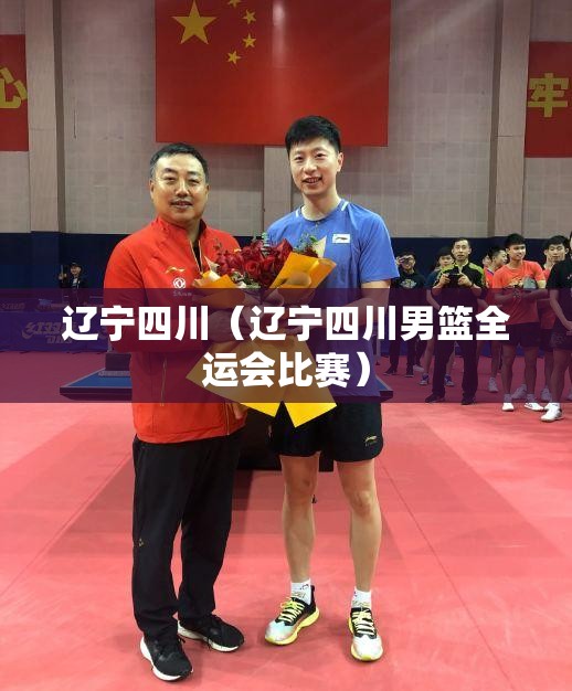 辽宁四川（辽宁四川男篮全运会比赛）