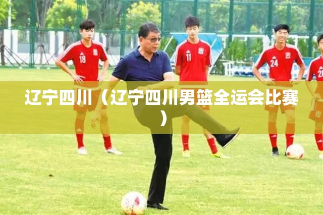 辽宁四川（辽宁四川男篮全运会比赛）